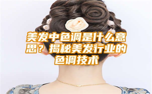 美发中色调是什么意思？揭秘美发行业的色调技术