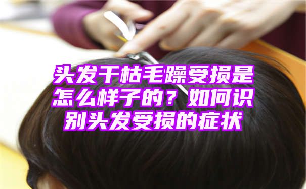 头发干枯毛躁受损是怎么样子的？如何识别头发受损的症状