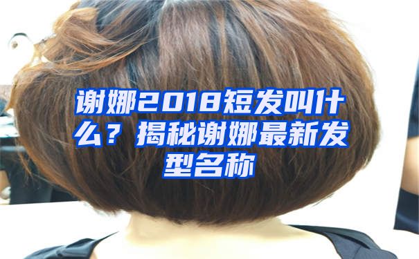 谢娜2018短发叫什么？揭秘谢娜最新发型名称