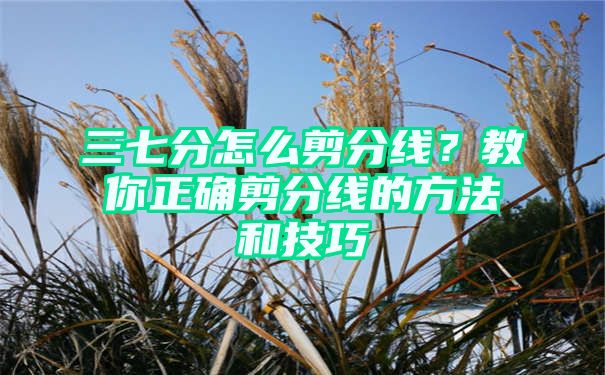 三七分怎么剪分线？教你正确剪分线的方法和技巧