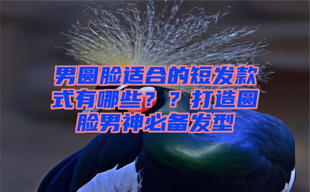 男圆脸适合的短发款式有哪些？？打造圆脸男神必备发型