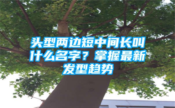 头型两边短中间长叫什么名字？掌握最新发型趋势