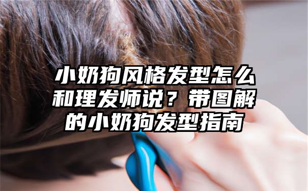 小奶狗风格发型怎么和理发师说？带图解的小奶狗发型指南