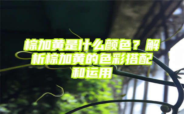 棕加黄是什么颜色？解析棕加黄的色彩搭配和运用