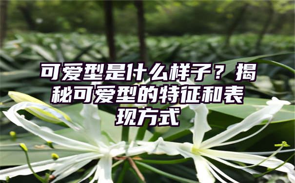 可爱型是什么样子？揭秘可爱型的特征和表现方式