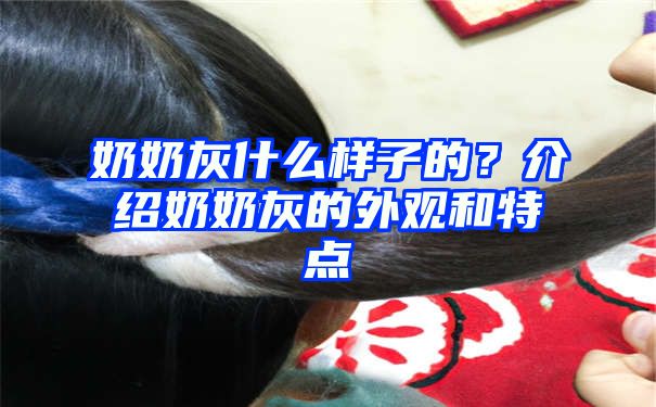 奶奶灰什么样子的？介绍奶奶灰的外观和特点