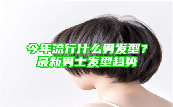 今年流行什么男发型？最新男士发型趋势