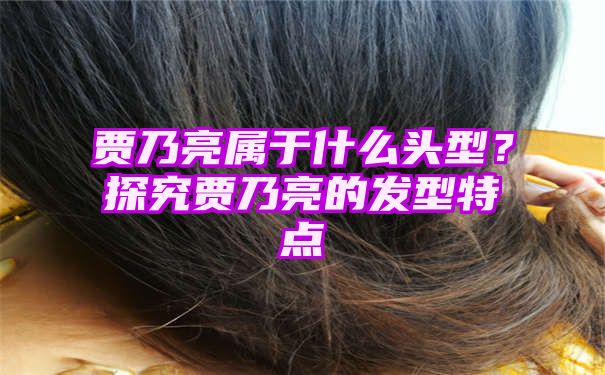 贾乃亮属于什么头型？探究贾乃亮的发型特点