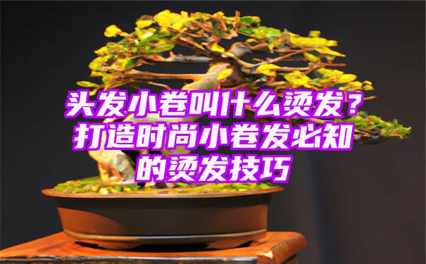 头发小卷叫什么烫发？打造时尚小卷发必知的烫发技巧