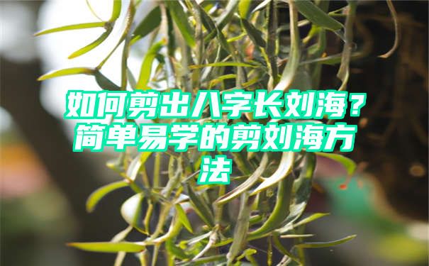 如何剪出八字长刘海？简单易学的剪刘海方法