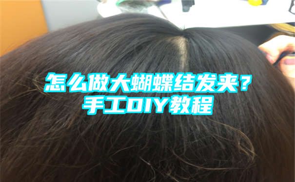 怎么做大蝴蝶结发夹？手工DIY教程