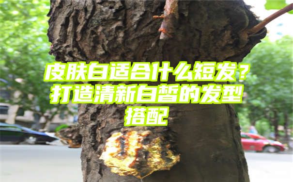 皮肤白适合什么短发？打造清新白皙的发型搭配