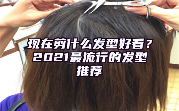 现在剪什么发型好看？2021最流行的发型推荐