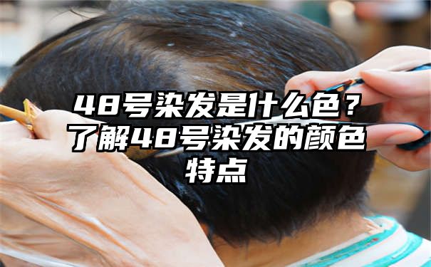 48号染发是什么色？了解48号染发的颜色特点