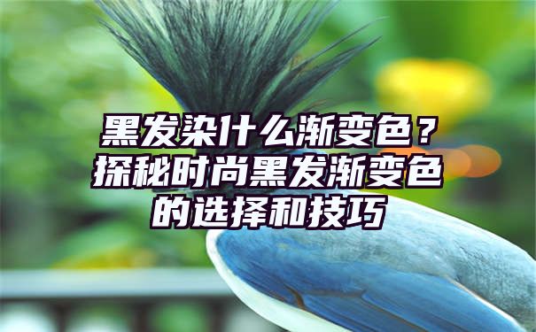 黑发染什么渐变色？探秘时尚黑发渐变色的选择和技巧