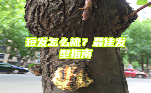 短发怎么梳？最佳发型指南