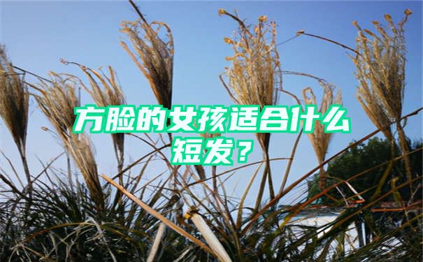 方脸的女孩适合什么短发？