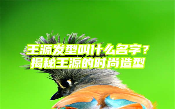 王源发型叫什么名字？揭秘王源的时尚造型