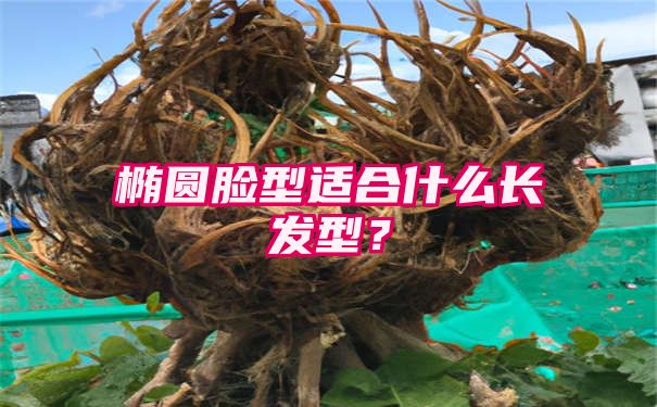 椭圆脸型适合什么长发型？