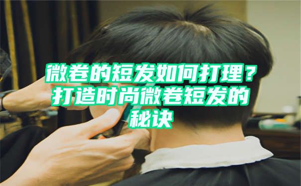 微卷的短发如何打理？打造时尚微卷短发的秘诀