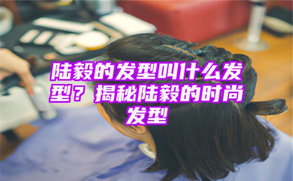 陆毅的发型叫什么发型？揭秘陆毅的时尚发型