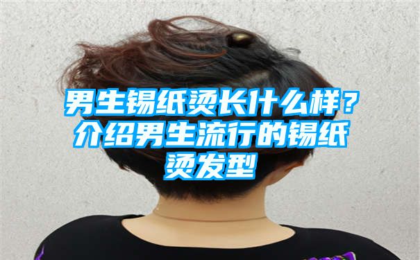 男生锡纸烫长什么样？介绍男生流行的锡纸烫发型