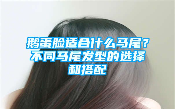 鹅蛋脸适合什么马尾？不同马尾发型的选择和搭配