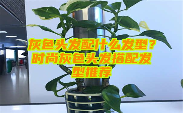 灰色头发配什么发型？时尚灰色头发搭配发型推荐