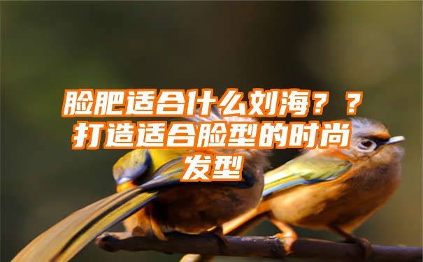 脸肥适合什么刘海？？打造适合脸型的时尚发型