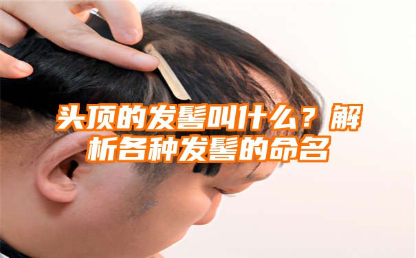 头顶的发髻叫什么？解析各种发髻的命名