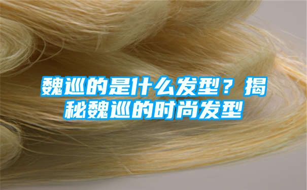 魏巡的是什么发型？揭秘魏巡的时尚发型