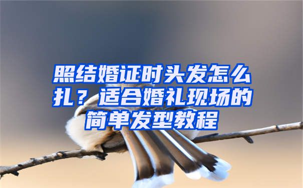 照结婚证时头发怎么扎？适合婚礼现场的简单发型教程