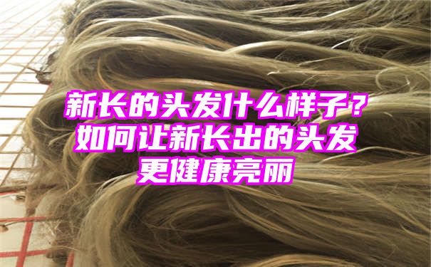 新长的头发什么样子？如何让新长出的头发更健康亮丽