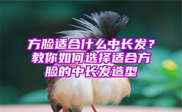 方脸适合什么中长发？教你如何选择适合方脸的中长发造型