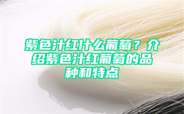 紫色汁红什么葡萄？介绍紫色汁红葡萄的品种和特点