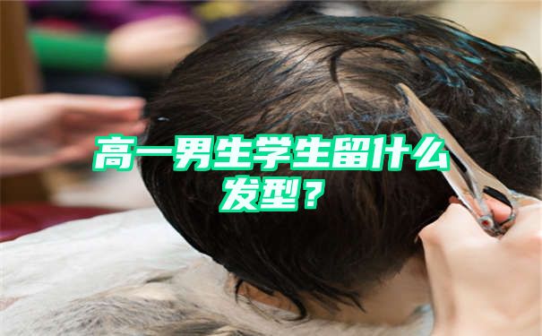 高一男生学生留什么发型？