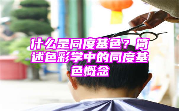 什么是同度基色？简述色彩学中的同度基色概念