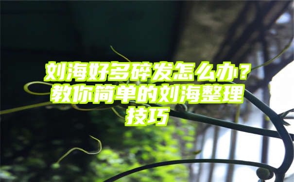 刘海好多碎发怎么办？教你简单的刘海整理技巧