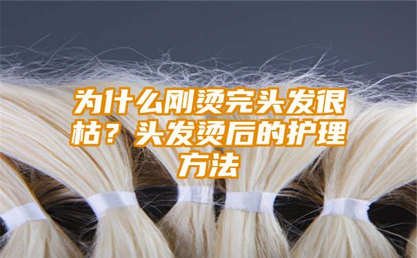 为什么刚烫完头发很枯？头发烫后的护理方法