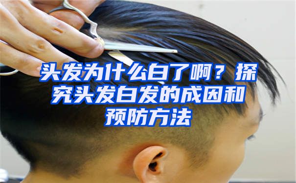 头发为什么白了啊？探究头发白发的成因和预防方法