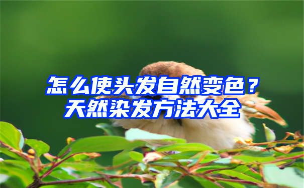 怎么使头发自然变色？天然染发方法大全