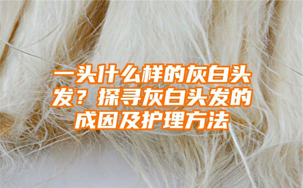 一头什么样的灰白头发？探寻灰白头发的成因及护理方法