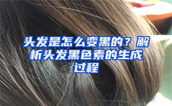 头发是怎么变黑的？解析头发黑色素的生成过程