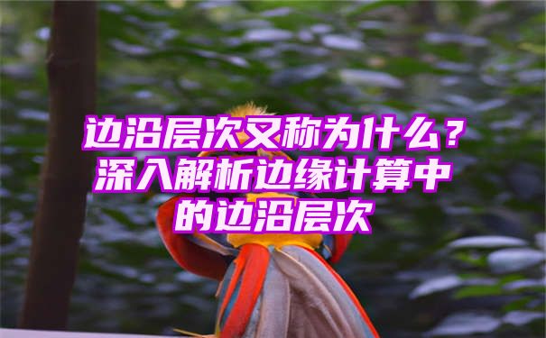 边沿层次又称为什么？深入解析边缘计算中的边沿层次