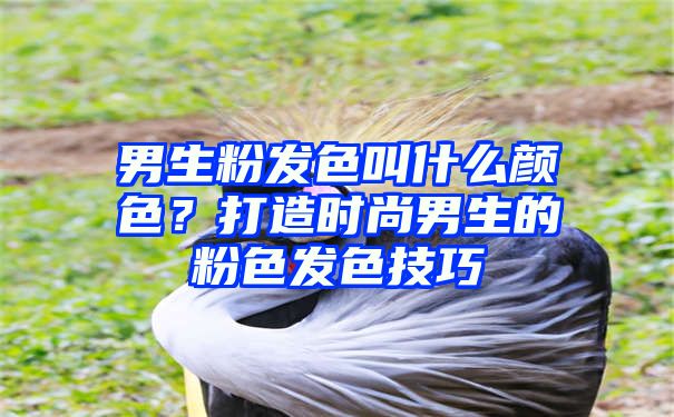 男生粉发色叫什么颜色？打造时尚男生的粉色发色技巧