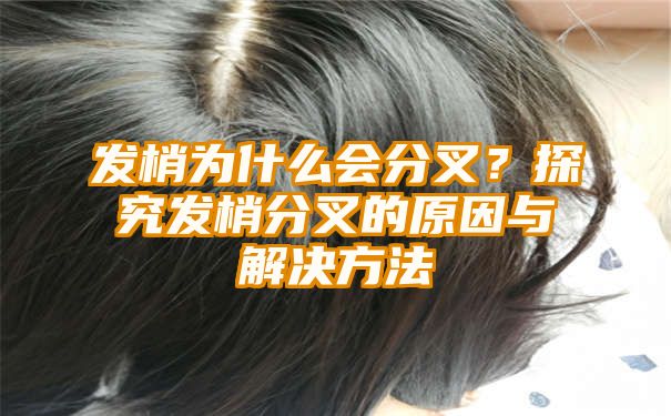 发梢为什么会分叉？探究发梢分叉的原因与解决方法