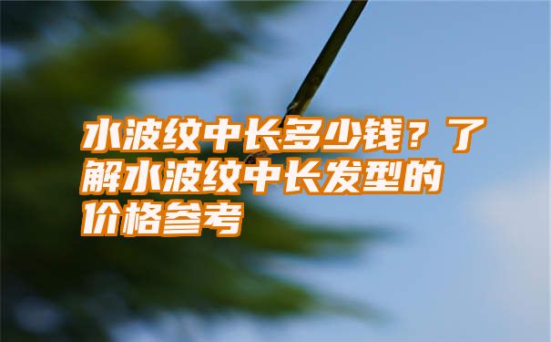 水波纹中长多少钱？了解水波纹中长发型的价格参考