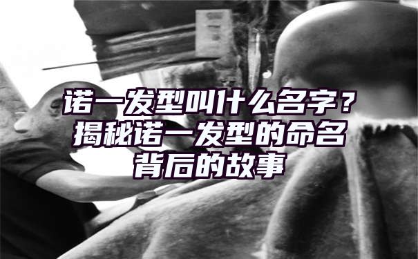 诺一发型叫什么名字？揭秘诺一发型的命名背后的故事