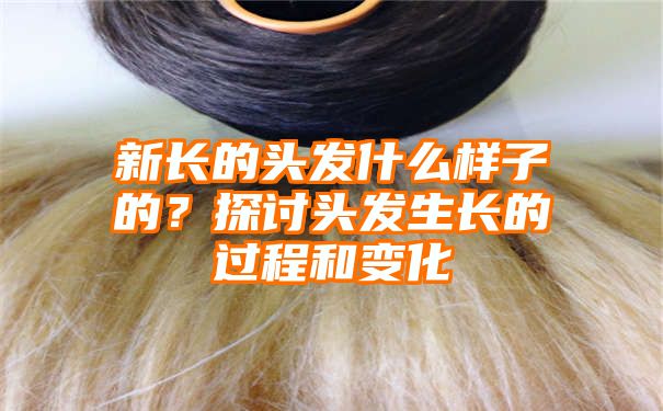 新长的头发什么样子的？探讨头发生长的过程和变化