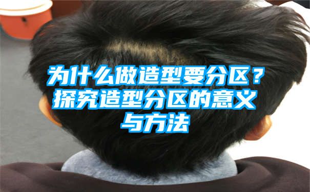 为什么做造型要分区？探究造型分区的意义与方法